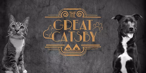 Paws for Celebration: The Great Catsby