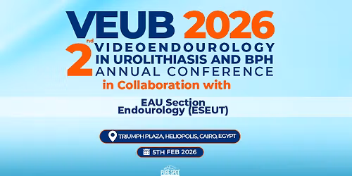 2\u207f\u1d48 Videoendourology in Urolithiasis and BPH Annual Conference - VEUB 2026