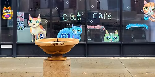 Free Community Cat Caf\u00e9 Time