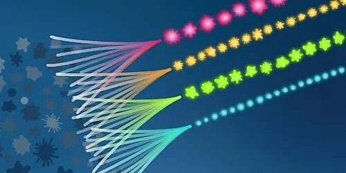 Flow Cytometry Workshop: Basics and Beyond