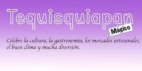 Gallop & Grapes en San Juanito vinos del valle de Bernal