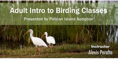 WORKSHOP: Adult Intro to Birding Classes - January 2027