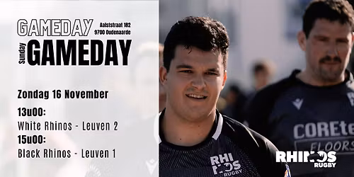 Rhinos - Leuven