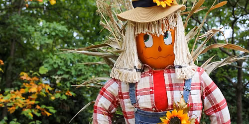 Scarecrows in the Garden