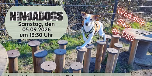 Ninjadogs Basic Workshop