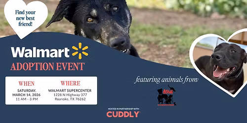 Cuddly X Walmart Adoption Event