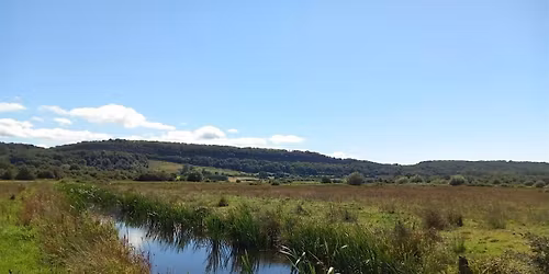 Our Magical Moors: A panel discussion