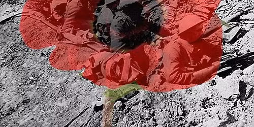 Remembrance Sunday service at SS Peter & Paul