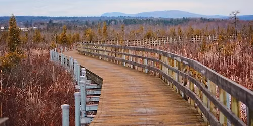 Rando Marais de la Rivi\u00e8re-aux-Cerises & Magog!