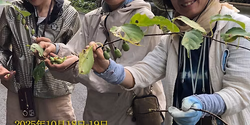秋の薬草観察・薬酒づくりと葛・自然薯を探せ!ツアー