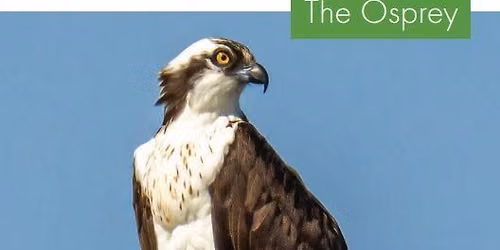 Osprey Conservation talk with The Group for the East End