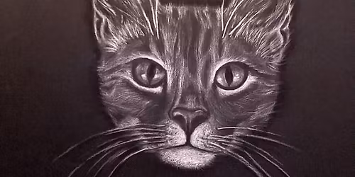 Texture & Detail Drawing - Explore texture, shadow, & imagination in this quirky art class for all!