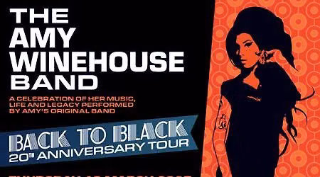 The Amy Winehouse Band