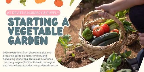 Starting a Vegetable Garden