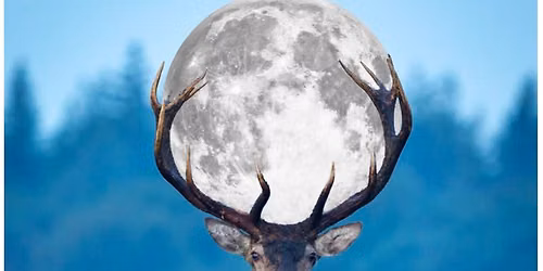 Ecstatic Paonia Full Moon Dance::Dancing as an act of Rebellion