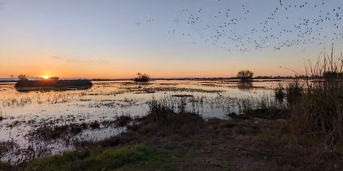 Working with Nature to Protect California's Agricultural Regions
