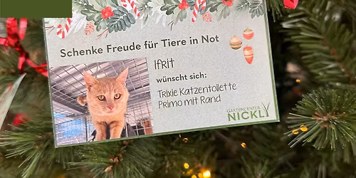 Start der Wunschbaumaktion f\u00fcr das Tierheim Rosenheim \ud83d\udc3e