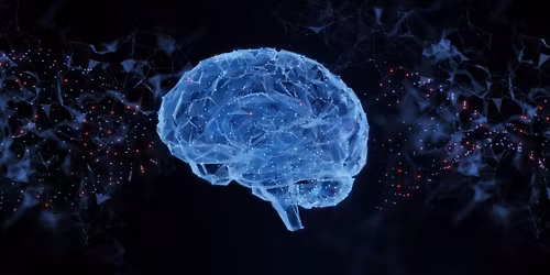 International Conference on Neuroscience and Brain Disorders (ICNBD2025)