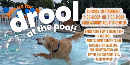 Drool at the Pool