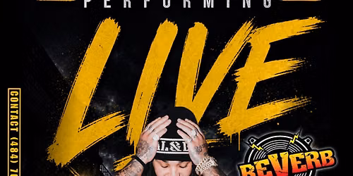 Albee Al Performing live 