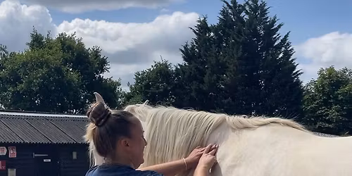 Equine Touch Foundation 3 Day Course *limited spaces left - book asap to join*