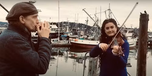 House Wrens Play Welcome Road With Special Guests