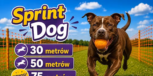 SPRINT DOG - wakacyjna edycja \ud83d\udd25