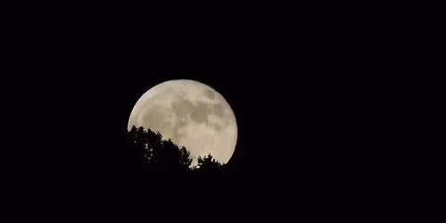 Full Moon Hike: Beaver Moon!