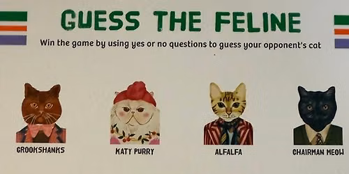 NEW** Cat Games 