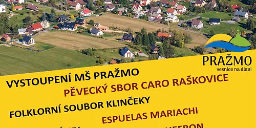 Pra\u017emovsk\u00e9 veselen\u00ed