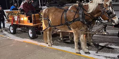 Winter Sleigh Rides - December 19th