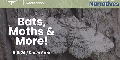 Nature & Narratives: Bats, Moths & More | Kellis Park