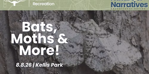 Nature & Narratives: Bats, Moths & More | Kellis Park