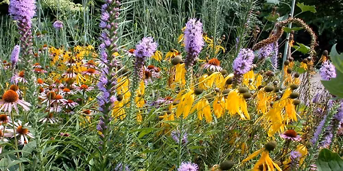 Gardening with Native Plants