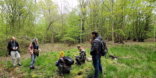 Wild Food & Forage Day Workshop