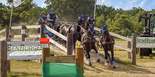 Sandringham Festival of Carriage Driving 