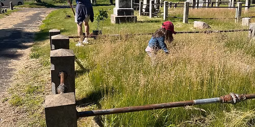 May 25 \u2013 Memorial Day Tree Planting and Poetry Reading @ Willow Grove Cemetery