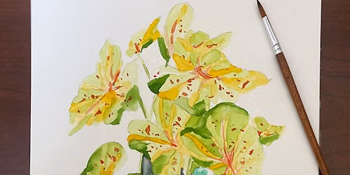 Tropical Plants: Watercolor Workshop at the Botanical Gardens