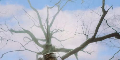 PERCEVAL + OUAI ST\u00c9PHANE + URUMI + MICHEL HUBERT + DJs | NUITS COLLECTIVES FRANCOFOLIES | La Sir\u00e8ne