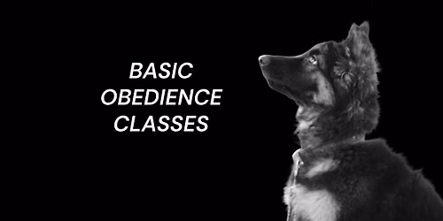 Basic Obedience Class Fall Cohort