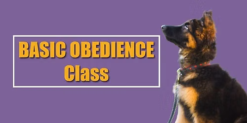 Basic Obedience Class Fall Cohort