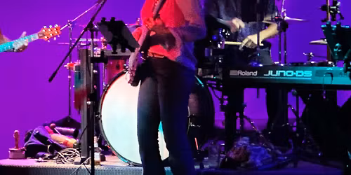 Party in Purple Music Festival and Fundraiser