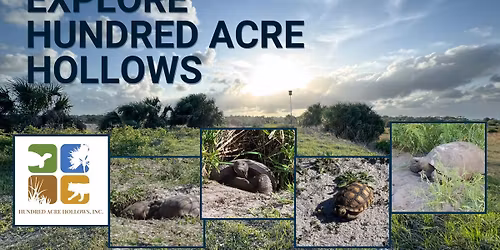 Sunset in the Hollows