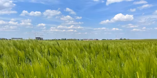 5 d\u00e9cembre 2025 \ud83e\udd7e Randonn\u00e9e Nacht \ud83c\udf1d Sous la super Lune : Bruxelles !