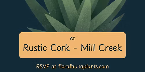 Moss Art Plant Night