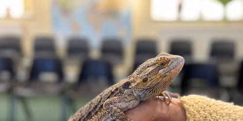 Wild Wednesdays: Animal Handling