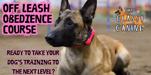 *FULLY BOOKED* Off Leash Obedience Course