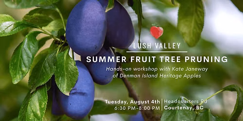 Summer Fruit Tree Pruning with Kate Janeway