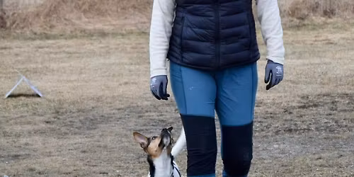 Dobbelstevne Rallylydighet 5.-6. september