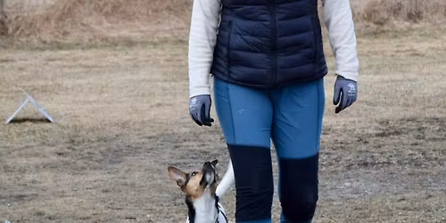 Dobbelstevne Rallylydighet 5.-6. september 